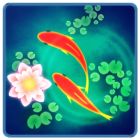 �ѥå�����