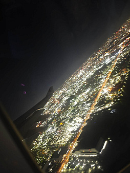 ꡼ No.022Υͥ / Υ󥿥ӥ塼ϡHollow KnightפUnpackingסUntitled Goose GameפCult of the LambפϡȾޤ졽IGEAϡϤȼȯٱǡϿޤ˥ȥꥢ̾ߤ