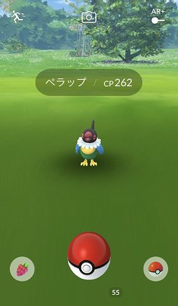 ֥ԥ奦ȯ奦2019פť奦Pok&#00233;mon GO Fest Yokohama 2019פͤʻƤϤ