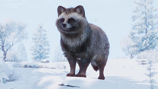 画像ギャラリー No.002のサムネイル画像 / 動物園経営シム「プラネット ズー」,ホンドタヌキやラーテルなどアジアに生息する7種類の動物を加える「Asia Animal Pack」が配信開始