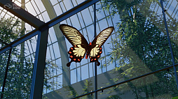 画像ギャラリー No.005のサムネイル画像 / 動物園経営シム「プラネット ズー」,ホンドタヌキやラーテルなどアジアに生息する7種類の動物を加える「Asia Animal Pack」が配信開始