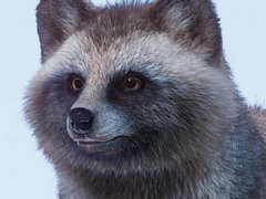 ưʪбĥ֥ץͥå סۥɥ̥顼ƥʤɥ©7ưʪäAsia Animal Packפۿ