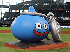 4֥ɥ饴󥯥ȥ󥰡̳ƻ׻åݡȡϥեHOKKAIDO̤Ϥơޤˤڤ᤿