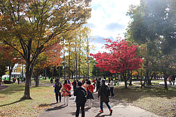 ꡼ No.021Υͥ / 5֥ɥ饴󥯥ȥ󥰡̡ס֥ɥ饴󥯥ȥפץݡȡ椬DQפǺ̤줿4֡󳫺ȯɽ