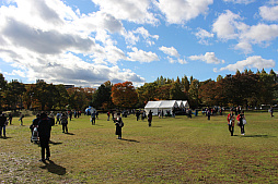 ꡼ No.022Υͥ / 5֥ɥ饴󥯥ȥ󥰡̡ס֥ɥ饴󥯥ȥפץݡȡ椬DQפǺ̤줿4֡󳫺ȯɽ