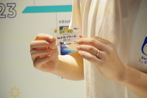 ���������꡼ No.015�Υ���ͥ������ / ��Ĺ��3m�ε��祫�ӥ��󤬽и�����ë�ؼ��դ����Pok���mon Sleep 2nd Anniversary ��ë�Ǥߤä����ݥ����ͤ����ꥵ�����׳�����