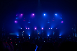 ꡼ No.004Υͥ / ֥֥饹6ǯBLACK PARTYפȯɽե٥ȳŤ΢򻣱Ƥեåۿ䤬