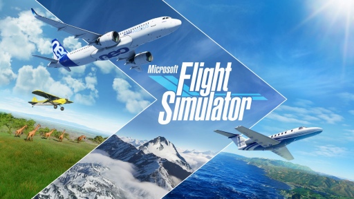 #001Υͥ/ϤعǻȤ٤ Microsoft Flight Simulatorץӥ塼Υȥ饬