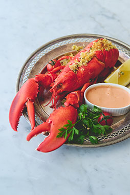 ꡼ No.001Υͥ / ˡȤ«׸쥷ԥ֥å2Ƥ121ȯ䡣˥ץա륤٥ȤΥ쥷ԤϿ