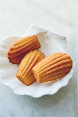 ꡼ No.002Υͥ / ˡȤ«׸쥷ԥ֥å2Ƥ121ȯ䡣˥ץա륤٥ȤΥ쥷ԤϿ