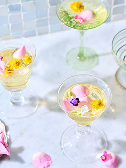 ꡼ No.005Υͥ / ˡȤ«׸쥷ԥ֥å2Ƥ121ȯ䡣˥ץա륤٥ȤΥ쥷ԤϿ