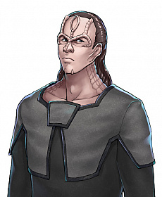 ���������꡼ No.003�Υ���ͥ������ / �֥��������ȥ�å� �ǥ����ס����꡼�ȡס������Х륫��͡����߼Ԥʤ��о��²�������������ӥ����ϻ�����2020ǯ1��