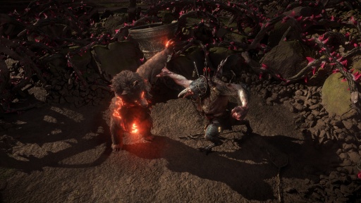 ꡼ No.003Υͥ / Path of Exile 2פμåץǡȡThe Last of the Druids׺ǿϵƥ磻Сˤʤ뿷饹֥ɥ륤ɡо