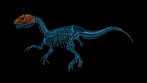 εФȯŸޤǡߥ졼󥲡Dinosaur Fossil Hunterפ2020ǯ˥꡼