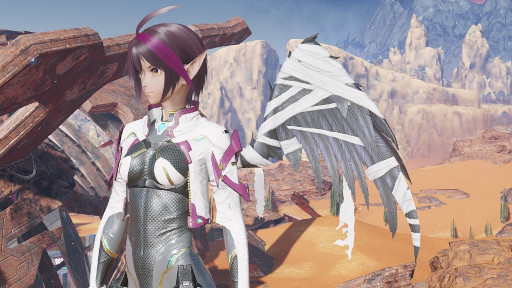 ���������꡼ No.004�Υ���ͥ������ / ��PSO2 �˥塼�����ͥ����ס����ꥹ�ޥ���Ϣ�Υ����ƥब�о줹��ӣǥ�����å��ʤɤ��ɲ�