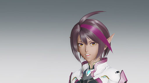 ���������꡼ No.004�Υ���ͥ������ / ��NGS ver.2�ס�PSO2��11��ǯ��ǰ���٥����2���򳫻�