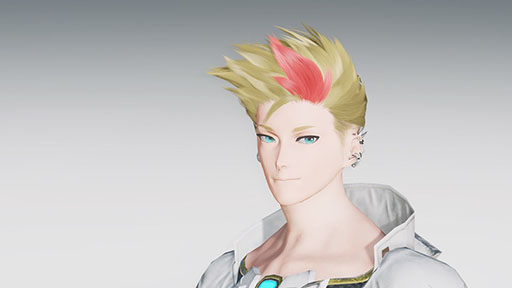 ���������꡼ No.005�Υ���ͥ������ / ��NGS ver.2�ס�PSO2��11��ǯ��ǰ���٥����2���򳫻�