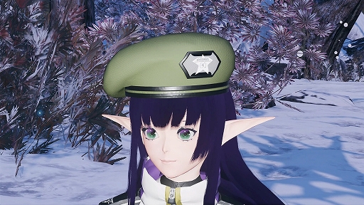 ���������꡼ No.005�Υ���ͥ������ / ��PSO2 �˥塼�����ͥ��� ver.2�ס����ָ��ꥯ�����ȡ֥���ǥ����Ƥ���������곫��