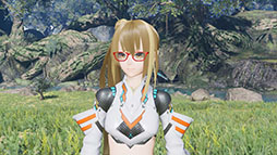 ���������꡼ No.003�Υ���ͥ������ / ��PSO2 �˥塼�����ͥ��� ver.2�ס���ƥ�꡼�����γ�õ�����������˵��粽�Ѱ��Τ��о�