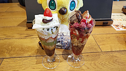 画像ギャラリー No.021のサムネイル画像 / 「NGS」オフイベ「アークスフレンドシップキャラバン 東京会場」レポート。エキシビションには声優の会 一太郎さんや西尾夕香さんらが出場