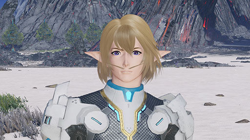 画像ギャラリー No.026のサムネイル画像 / 「NGS ver.2」，想定演習：焦砦の掃討戦などを追加するアップデートを実施