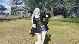 画像ギャラリー No.009のサムネイル画像 / 「NGS ver.2」,想定演習:討将烈戦の闘技場を4月22日まで開催