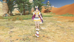 画像ギャラリー No.021のサムネイル画像 / 「NGS ver.2」，ソニック生誕35周年を記念したコラボを実施