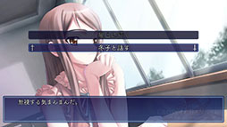 ꡼ No.004Υͥ / رĽADVCROSSCHANNEL For all peopleסSwitchѥåǤ124ȯ