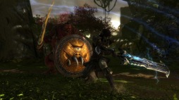 SwitchǡKingdoms of Amalur: Re-Reckoningפͽդ