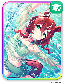 ꡼ No.002Υͥ / ֥̼ ץƥӡסȥܷꡣʰ̼ݡȥɤʤɤ