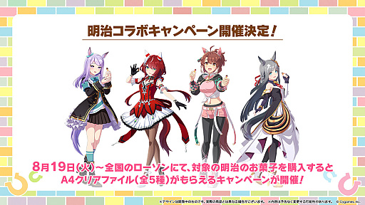 ꡼ No.006Υͥ / ֥̼ ץƥӡסȥܷꡣʰ̼ݡȥɤʤɤ