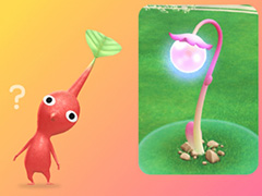 Pikmin Bloom Journey 2024 : ɡॷƥθݡȡ٥Ȥ˹᤿ۤʹåե󥿥ӥ塼⤪Ϥ