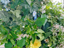 ꡼ No.017Υͥ / ˷ʲԥߥΤԤ򤪤ݡꥢ륤٥ȡPikmin Bloom Journey 2025θݡ