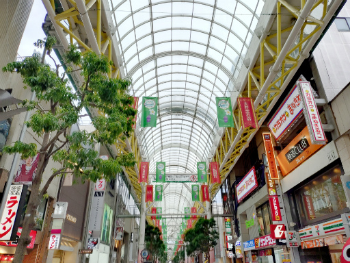 ꡼ No.021Υͥ / ˷ʲԥߥΤԤ򤪤ݡꥢ륤٥ȡPikmin Bloom Journey 2025θݡ