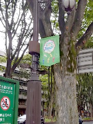 ꡼ No.022Υͥ / ˷ʲԥߥΤԤ򤪤ݡꥢ륤٥ȡPikmin Bloom Journey 2025θݡ