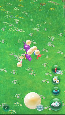 ꡼ No.008Υͥ / Pikmin Bloom׽4ǯɹԥߥꤷơޤޤˤ䤫ˡǥԥߥ󤿤ȡʤγ򤪻⤷ޤ󤫡