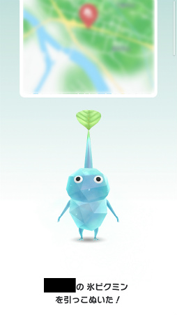 ꡼ No.024Υͥ / Pikmin Bloom׽4ǯɹԥߥꤷơޤޤˤ䤫ˡǥԥߥ󤿤ȡʤγ򤪻⤷ޤ󤫡