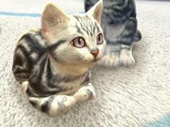 ǭȽв񤨤SLGwith My CAT - ǭȤ餽 -פۿȡץ쥤䡼˻ǭȿ벻ǧǽ