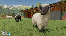 Farming Simulator 22פκǿȥ쥤顼ȥޥȤݤǤ벹˲ä˪ǽ