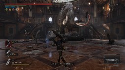 ���������꡼ No.027�Υ���ͥ������ / �Υץ쥤��ݡϡ�Lies of P�פ�DLC��Overture�פ�����θ������ΰ��ݤ��ܺ�ǥ��쥯�����ؤι�Ʊ���󥿥ӥ塼���碌�Ƥ��Ϥ�����