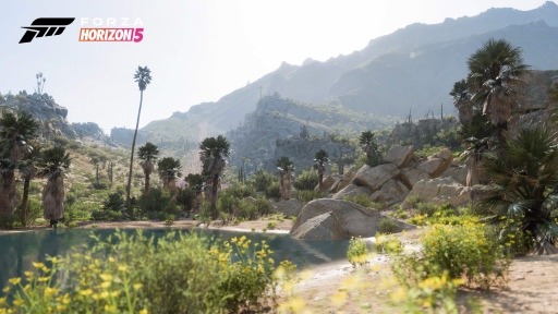 画像集#007のサムネイル/メキシコの大自然を駆け抜ける「Forza Horizon 5」レビュー。PC版はウルトラワイド対応で満足度高し