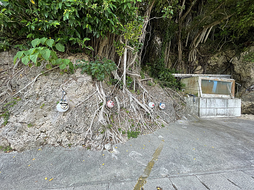 画像集 No.040のサムネイル画像 / マフィア梶田の二次元が来い！：第592回「沖縄で白猫とゴルフをするために手術箇所を増やした男」