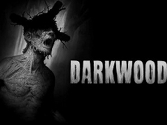 PS4/SwitchǡDarkwoodפ92ȯꡣ᤿񸻤ȤƴʿæФܻؤ2DХХۥ顼