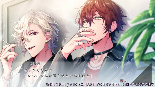 ꡼ No.036Υͥ / Υץ쥤ݡϡDIG-ROCK -Documentary of Youthful Sounds-̩ǸCDȤϤҤ̣㤦Ǵ