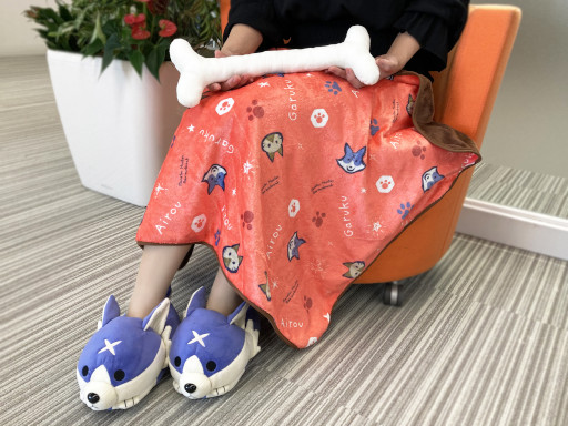 ���������꡼ No.001�Υ���ͥ������ / �֥��ϥ�饤��������֥쥤���ס��Ȥ��󤬤����֥�󥱥åȡɤȡȥ��륯�롼�ॷ�塼���ɤ����ץ��󥹥ȥ����о�