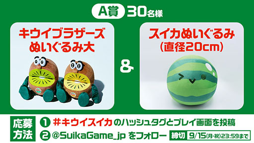 ꡼ No.005Υͥ / ֥פȥץΡ֥֥饶פܡ2025ǯΥץաƤ򤭤ä˴褬ư