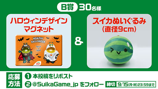 ꡼ No.006Υͥ / ֥פȥץΡ֥֥饶פܡ2025ǯΥץաƤ򤭤ä˴褬ư