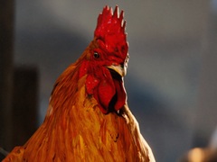 「ARC Raiders」，本日配信のアップデート“Flashpoint”の詳細を公開。新たなマップ環境や武器，機能の追加を実施