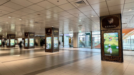 ꡼ No.003Υͥ / ֥֥åСХס̹ëɱؤʤɤ˷ǽ