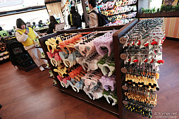 画像ギャラリー No.083のサムネイル画像 / 「ポケパーク カントー」ってどんなところ？　体験して分かった楽しさと，来園前に知っておきたいポイント